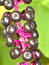 Phytolacca americana, Kermesbeere, Färbepflanze Phytolacca americana, Kermesbeere, Färbepflanze, Färberpflanze, Pflanzenfarben, färben, Klostergarten Seligenstadt